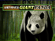 Игровой слот Дикая Большая Панда